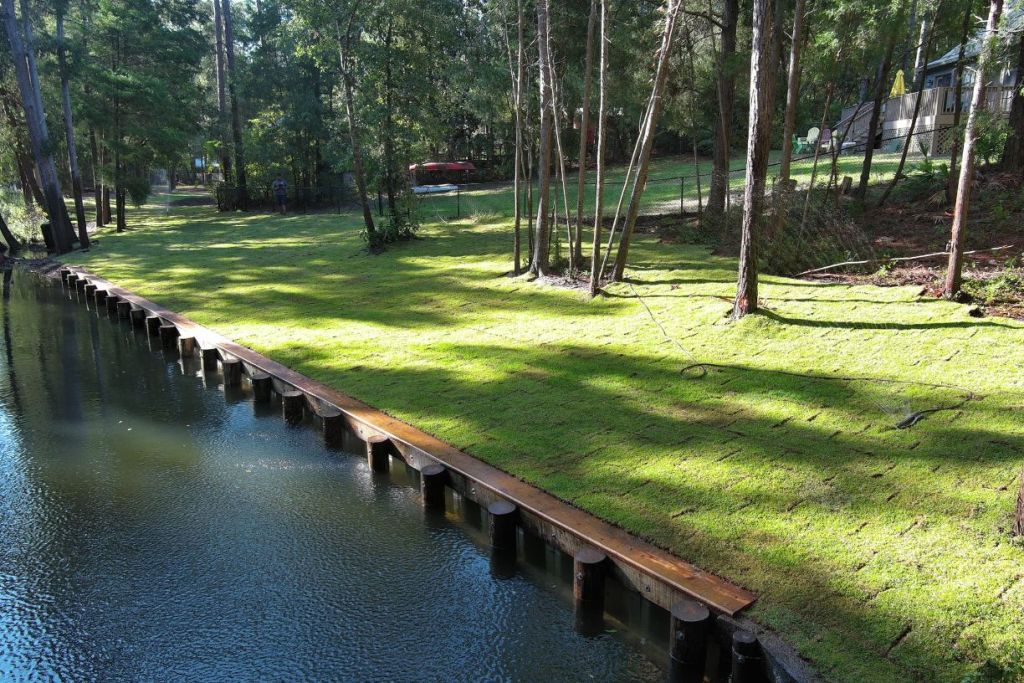 House partially visible among tall forest trees